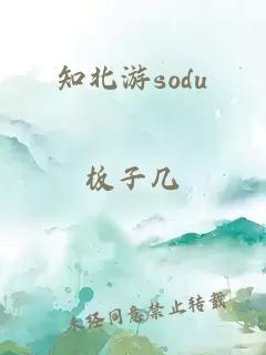 知北游sodu