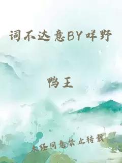 词不达意BY咩野