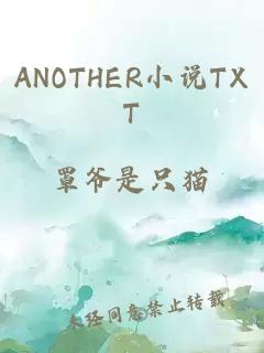 ANOTHER小说TXT