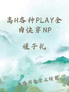 高H各种PLAY全肉快穿NP