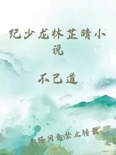 纪少龙林芷晴小说