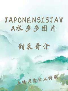 JAPONENSISJAVA水多多图片