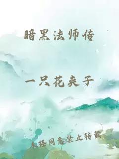 暗黑法师传