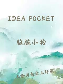 IDEA POCKET