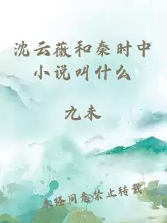 沈云薇和秦时中小说叫什么