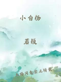 小白杨