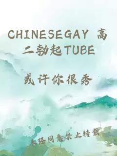 CHINESEGAY 高二勃起TUBE