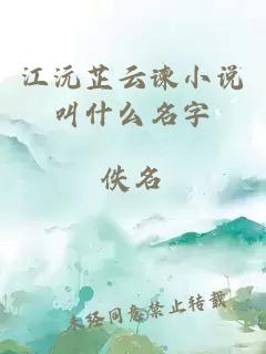 江沅芷云谏小说叫什么名字