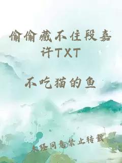 偷偷藏不住段嘉许TXT