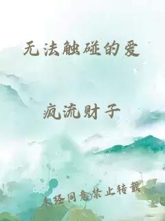 无法触碰的爱