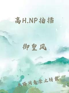 高H.NP抽插