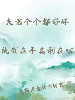 夫君个个都好坏