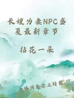 长嫂为妻NPC盛夏最新章节