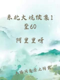 东北大坑续集1至60