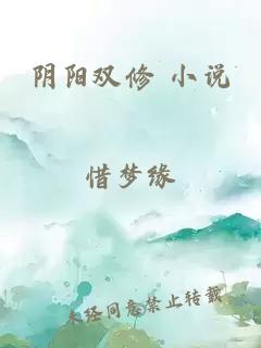 阴阳双修 小说