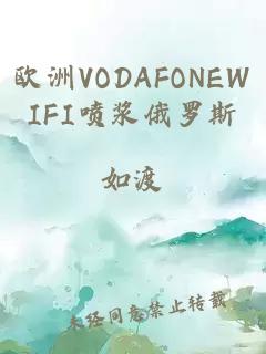 欧洲VODAFONEWIFI喷浆俄罗斯