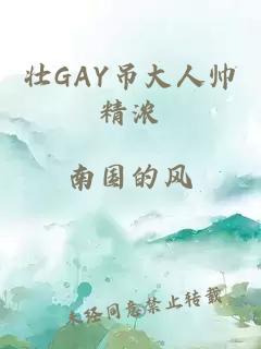 壮GAY吊大人帅精浓