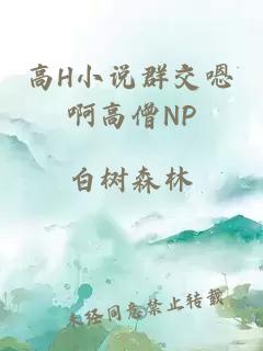 高H小说群交嗯啊高僧NP