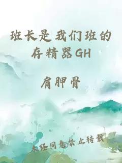 班长是我们班的存精器GH