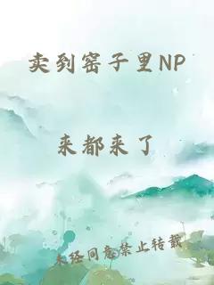 卖到窑子里NP