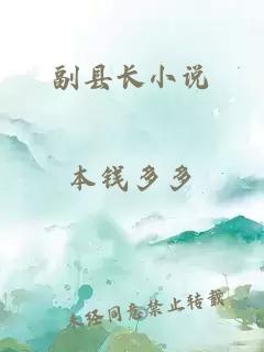 副县长小说