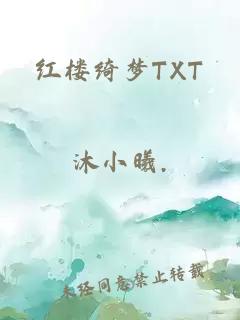 红楼绮梦TXT