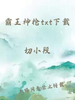 霸王神枪txt下载