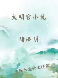 大明官小说