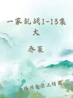 一家乱战1-13集大