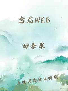 盘龙WEB