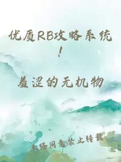 优质RB攻略系统!