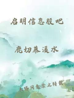 启明信息股吧