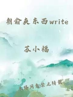 朝俞夹东西write