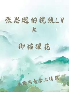 张思邈的视频LVK