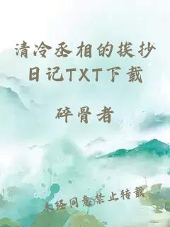 清冷丞相的挨抄日记TXT下载