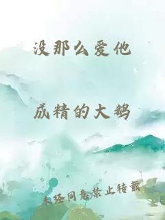 没那么爱他