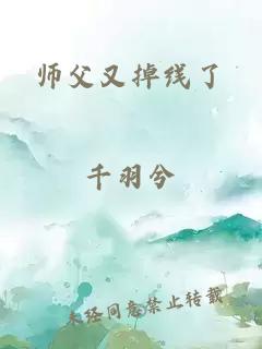 师父又掉线了