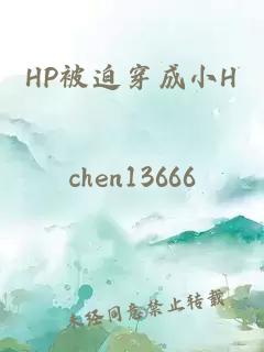 HP被迫穿成小H