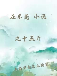 在东莞 小说