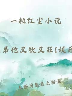 一粒红尘小说