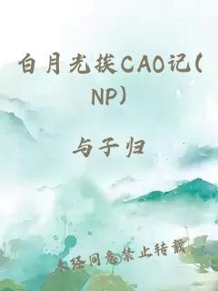 白月光挨CAO记(NP)