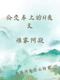 公交车上的H爽文