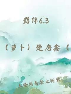 羁绊6.3