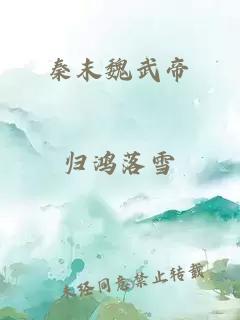 秦末魏武帝