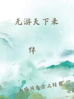 无游天下录