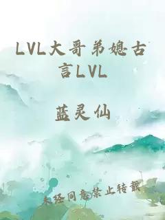 LVL大哥弟媳古言LVL