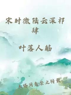 宋时微陆云深祁肆