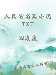 人民的名义小说TXT