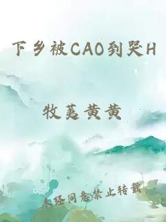 下乡被CAO到哭H