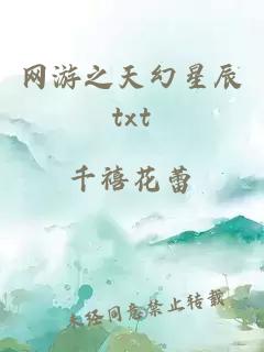 网游之天幻星辰txt